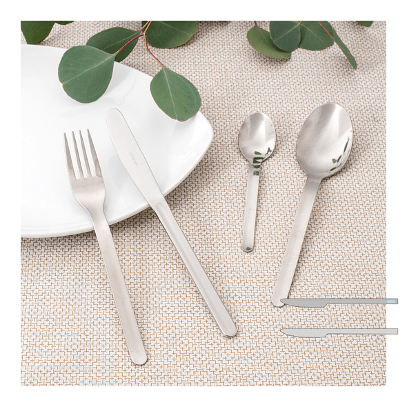 Steel Table Knives